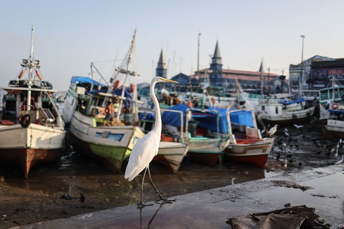 Belén, en el estado de Pará, Brasil, lugar donde se realizará la COP30 en noviembre. · Foto: Anderson Coelho, AFP