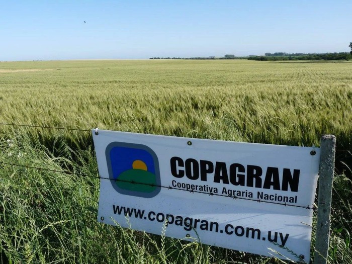Copagran. Foto: S/D de autor, Copagran