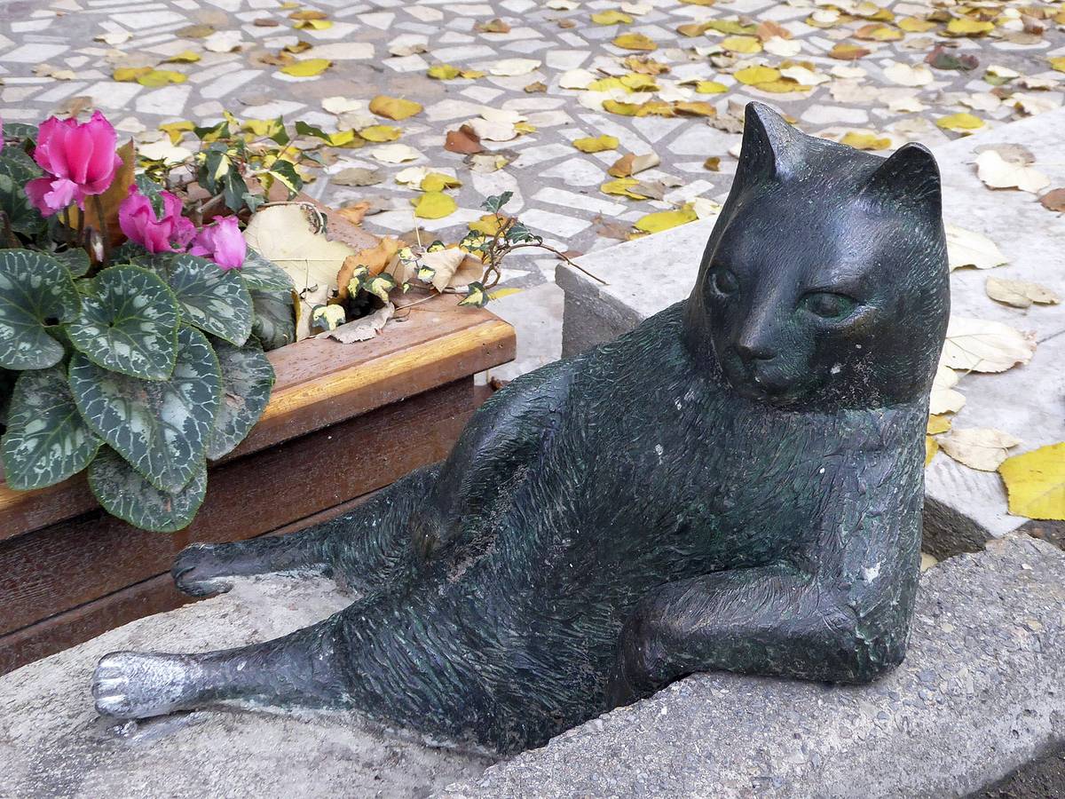 Tombili, el gato callejero que tiene su propia estatua en Estambul la
