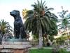 Foto principal del artículo 'Moro, el perro de los entierros' Foto principal del artículo 'Moro, el perro de los entierros'