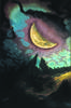 Luna con dormilones. Luna con dormilones.