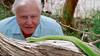 David Attenborough, A life on our planet
David Attenborough, A life on our planet