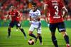 defensor 254407_20250116SCH_ 448240