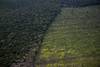 20220827 ECONOMIA DEFORESTACION