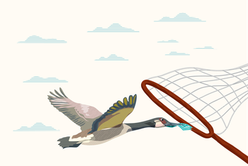 Foto principal del artículo 'El impuesto sobre los depósitos en el exterior no pondría en riesgo la seguridad jurídica del país, aseguran expertos' · Ilustración: Luciana Peinado