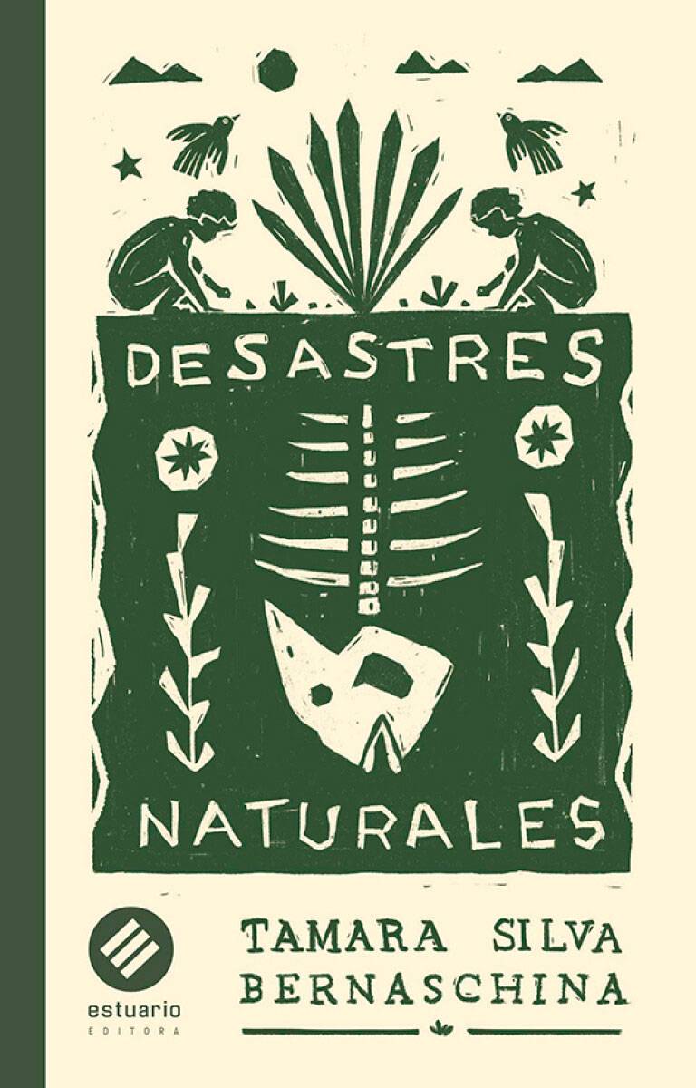 desastres-naturales-desastres-naturales