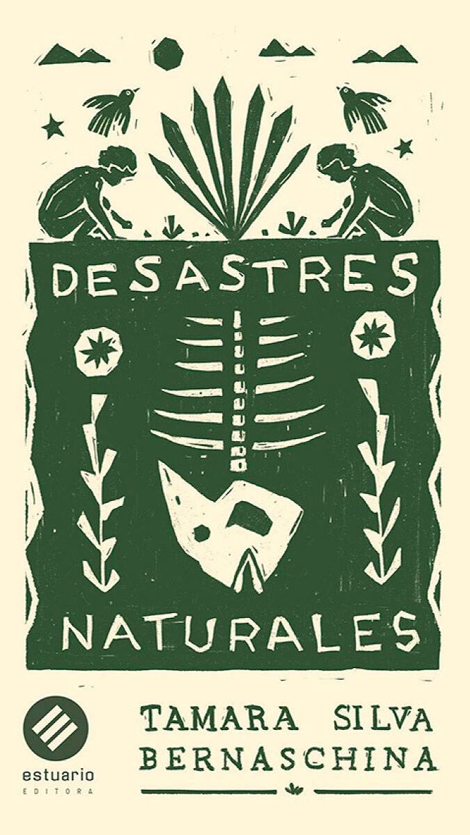 desastres-naturales-desasts-naturales