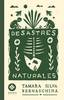 desastres-naturales-desastres-naturales