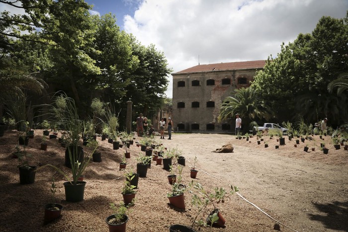 Diciembre de 2024. · Foto: Laura Benvenuto, difusión