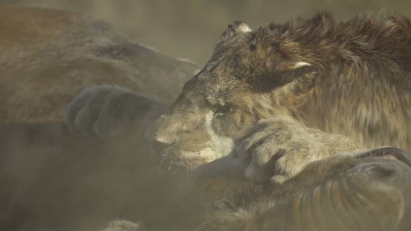 20251209 cie erahielo 5