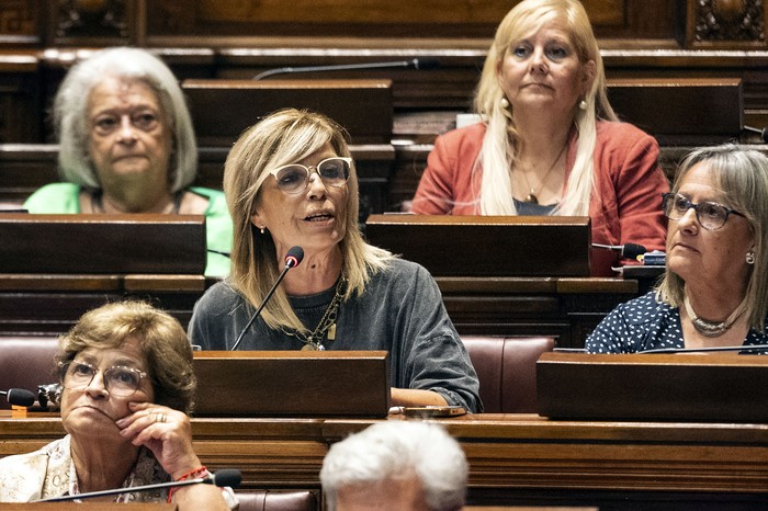 Carmen Tort, este lunes, en la sesión de Diputados. · Foto: Alessandro Maradei