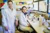 Martín Fraga y Laura Casaux, en el laboratorio del INIA La Estanzuela. Martín Fraga y Laura Casaux, en el laboratorio del INIA La Estanzuela.