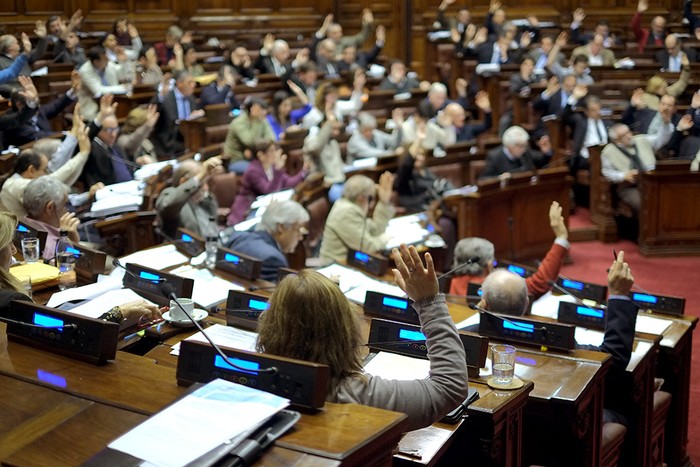 Cámara de diputados. Foto: Pablo Vignali (archivo, agosto de 2016)