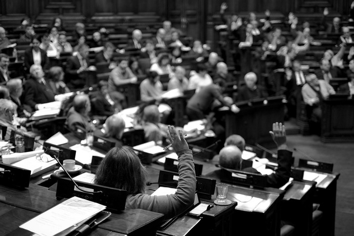 Cámara de Diputados durante una votación. Foto: Pablo Vignali (archivo, agosto de 2016)