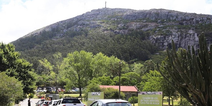 Reserva de Pan de Azúcar. Foto: Intendencia de Maldonado.