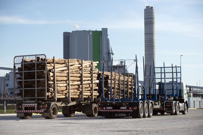 Planta de celulosa de la empresa UPM, en Paso de los Toros. · Foto: Alessandro Maradei