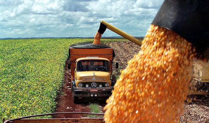 Cosecha de maíz en Guarapuava, Paraná, Brasil (archivo, mayo de 2003). · Foto: Nani Gois, AFP