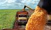 20220319 economia agro