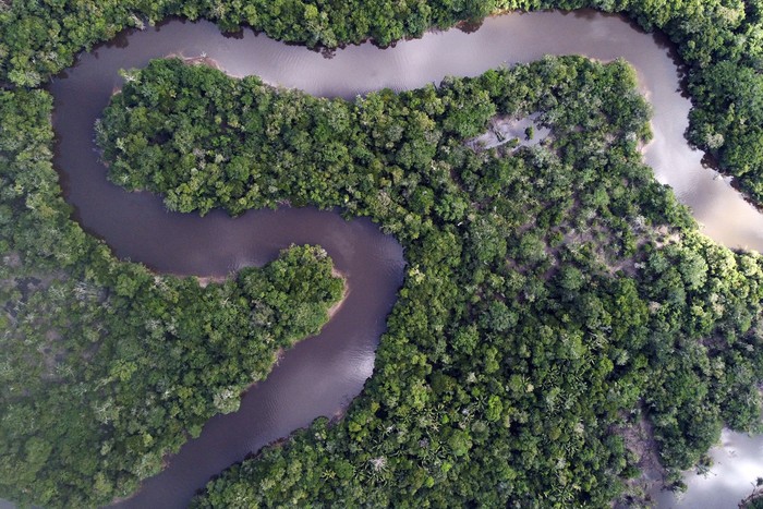Foto principal del artículo 'Es el momento para que Brasil lidere en conservación forestal' · Foto: Pedro Pardo Foto principal del artículo 'Es el momento para que Brasil lidere en conservación forestal' · Foto: Pedro Pardo