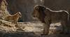 Foto principal del artículo '“El rey león” y la moda de las adaptaciones más o menos necesarias' Foto principal del artículo '“El rey león” y la moda de las adaptaciones más o menos necesarias'