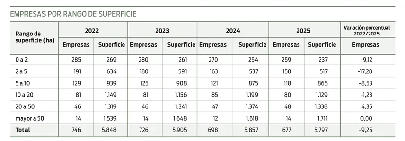 Empresas por rango de superficie