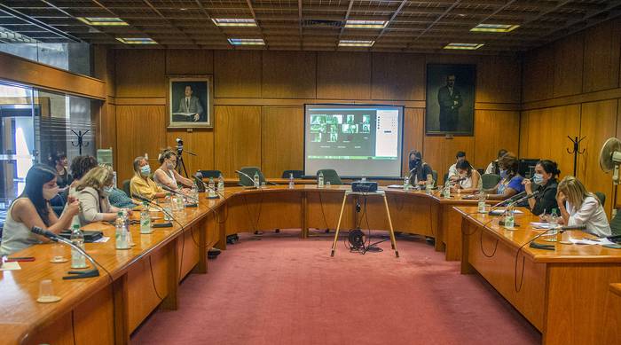 Reunión de la Bancada Bicameral Feminista, el Anexo del Palacio Legislativo (archivo, enero de 2021). · Foto: Alessandro Maradei