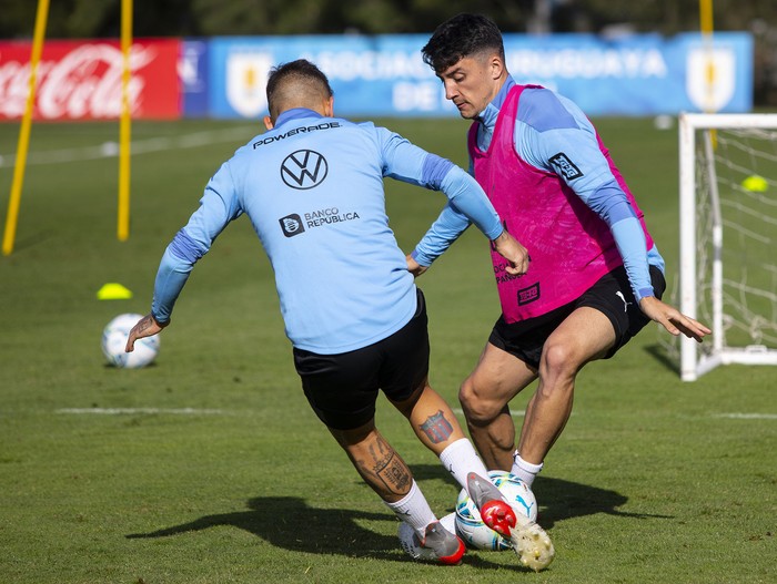 Lucas Torreira y Joaquín Piquerez, durante un entrenamiento, el 9 de noviembre, en el Complejo Uruguay Celeste. Foto: Asociación Uruguaya de Fútbol