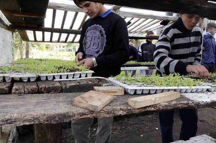 Escuela Agraria de la ciudad de Montes, Canelones. Foto: Alessandro Maradei (archivo, junio de 2017)