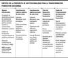 Esquema transformación productiva