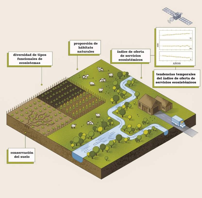 20250725 p13-15f3 esquema