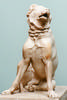 Foto principal del artículo 'Peritas, la mascota de Alejandro Magno' Foto principal del artículo 'Peritas, la mascota de Alejandro Magno'