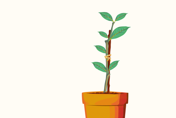 Foto principal del artículo 'En debate la construcción de una estrategia nacional de desarrollo' · Ilustración: Luciana Peinado