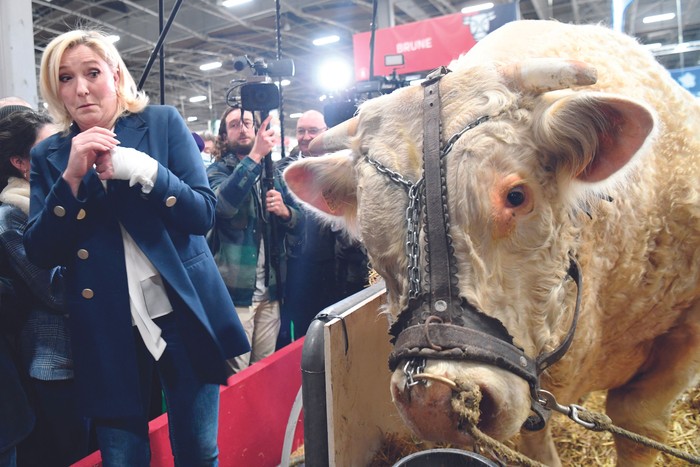 Marine Le Pen, tras intentar besar a una vaca mientras visita el 58° Salon de l’Agriculture en el centro de exposiciones Porte de Versailles, en París. · Foto: Bertrand Guay, AFP