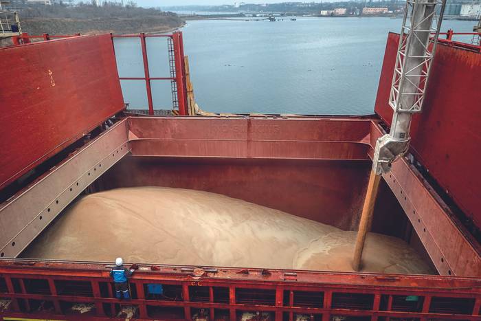 Bodega del buque fletado por la ONU MV Valsamitis, con carga para entregar 25.000 toneladas de trigo ucraniano a Kenia y 5.000 toneladas a Etiopía, en el puerto de Chornomorsk, al este de Odessa, en la costa del Mar Negro, el 18 de febrero. · Foto: Oleksandr Gimanov, AFP