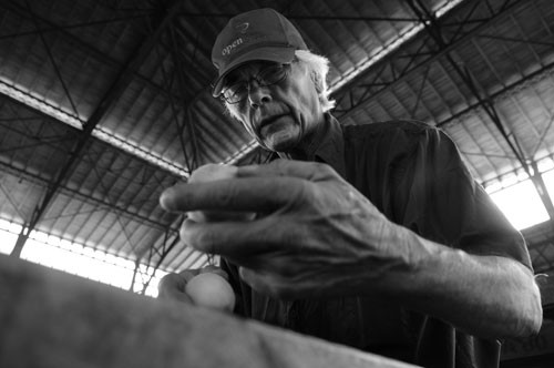 Vendedor de duraznos en el Mercado Agrícola en Montevideo. / Foto: Nicolás Celaya