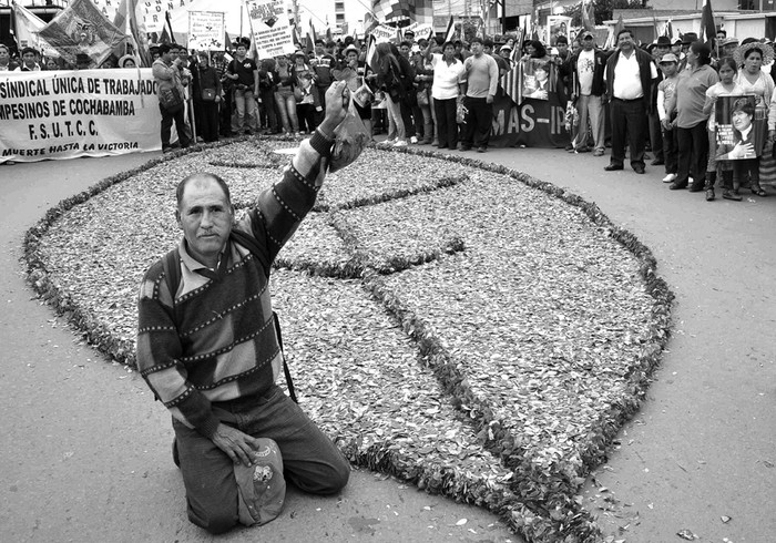 Concentración, el lunes, en la ciudad central de Cochabamba, Bolivia, en una jornada nacional dedicada al mascado de coca o "akulliku", considerado una tradición sociocultural en este país.  · Foto: S/d de autor,Agencia Boliviana de Información, Efe