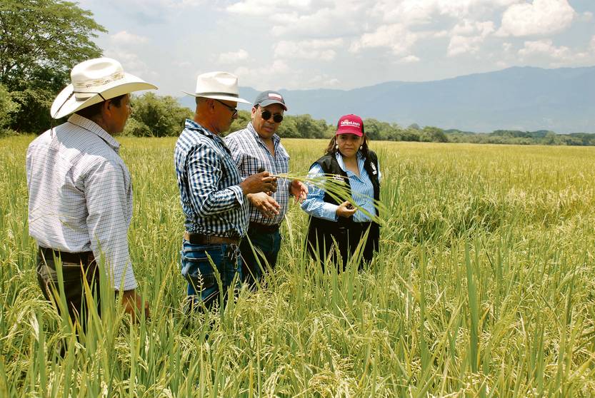 le monde 45 - La difícil primavera hondureña 02