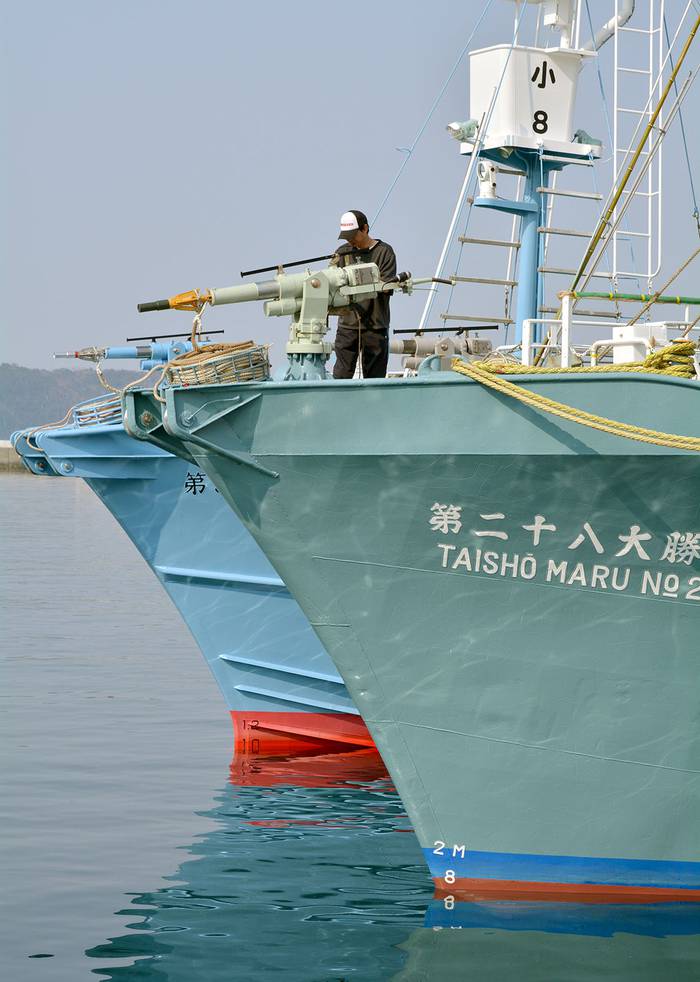 Barco ballenero previo a zarpar en el puerto de Ayukawa, en la ciudad de Ishinomaki (archivo, abril de 2014). · Foto: Kazuhiro Nogi, AFP 