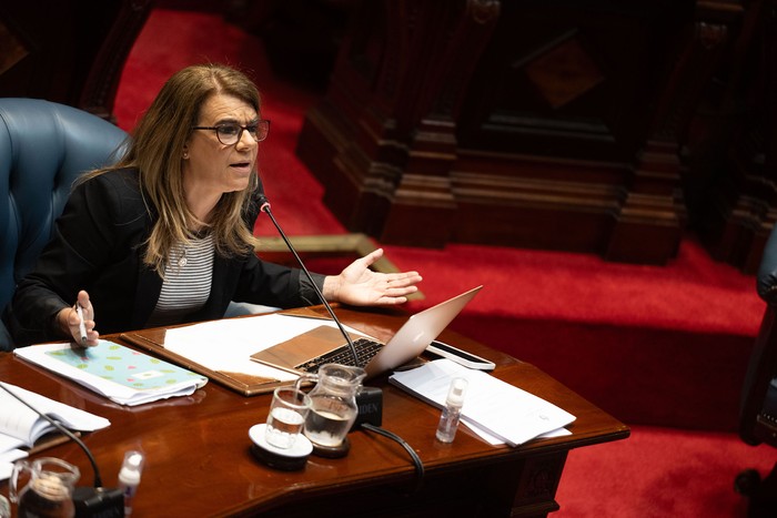 Silvia Nane en el Senado. · Foto: Mara Quintero