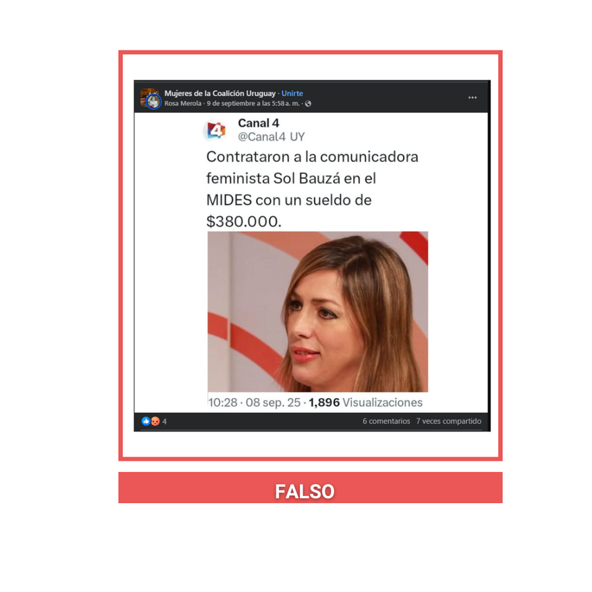 fake bauza2