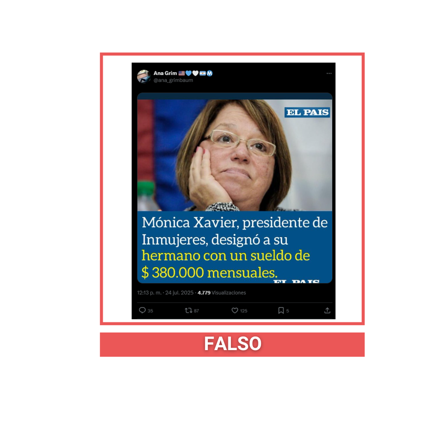 fake el pais ana grimbaum