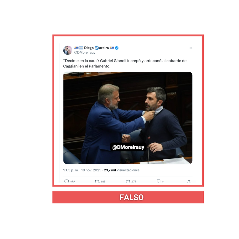 fake gianoli caggiani