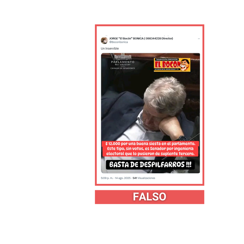 bocon fake michelini