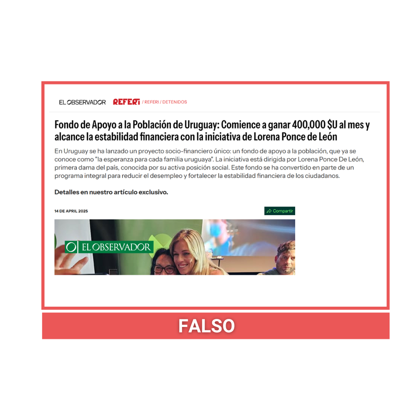 fake observador