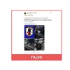 falso japon