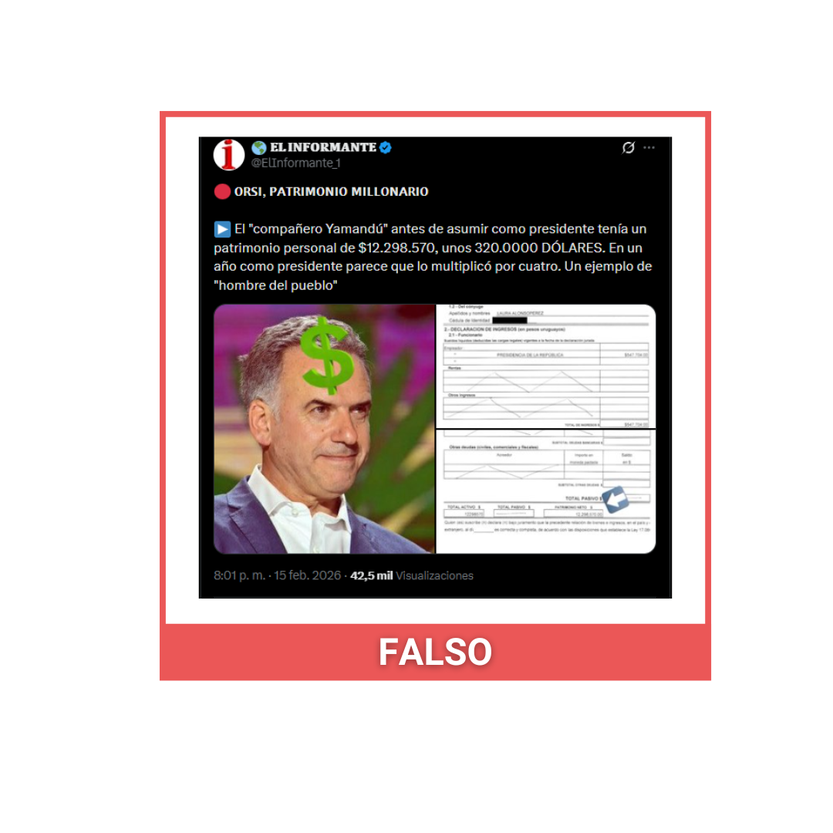 falso orsi patrimonio
