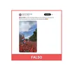 falso paises bajos