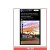 falso cartel rocha