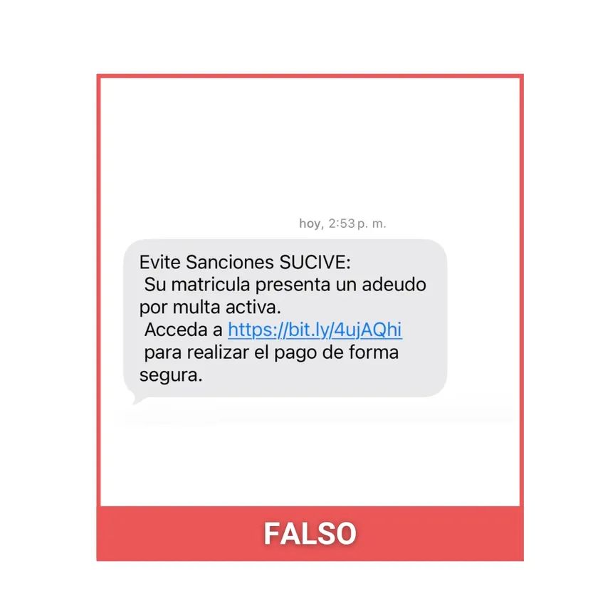 falso sucive 1