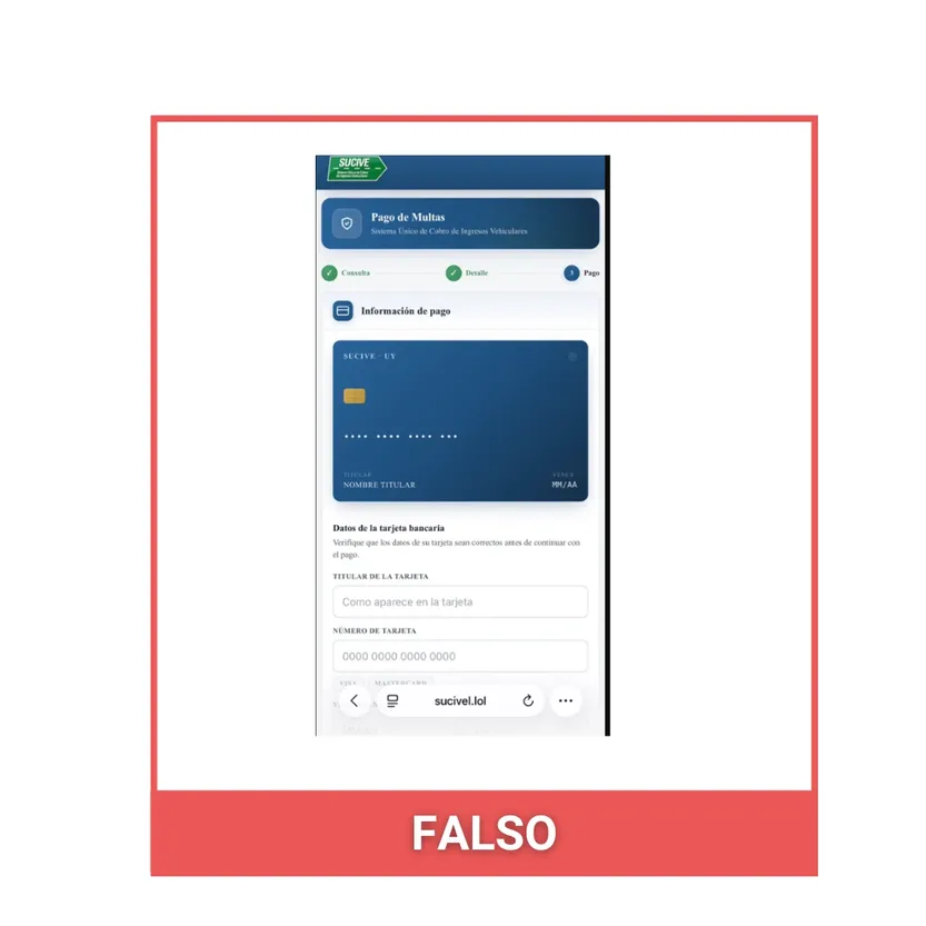 falso sucive 2